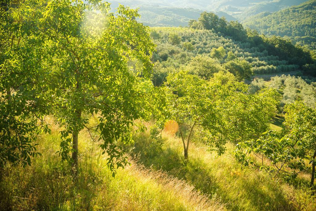 הוילה ארצו Podere Poggio Mendico מראה חיצוני תמונה